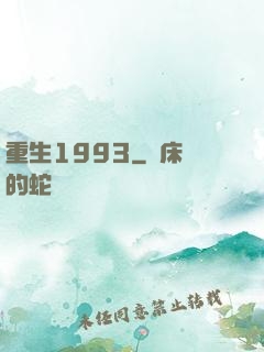 重生1993