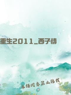 重生2011