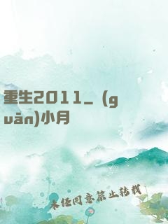 重生2011