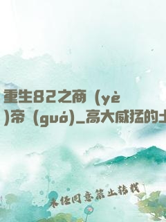 重生82之商業(yè)帝國(guó)