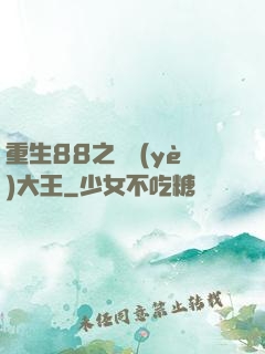 重生88之實業(yè)大王