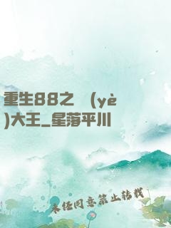 重生88之實業(yè)大王