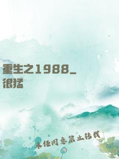重生之1988