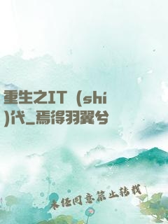 重生之IT時(shí)代