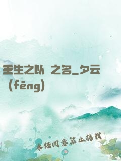 重生之以國之名