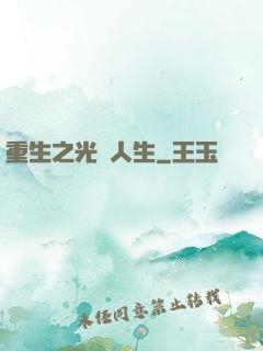 重生之光輝人生