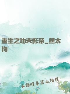 重生之功夫影帝