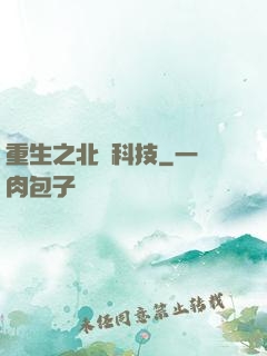 重生之北國科技