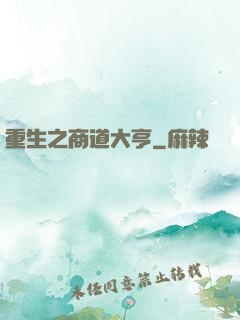 重生之商道大亨