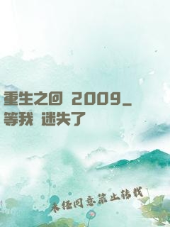 重生之回檔2009