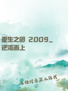 重生之回檔2009