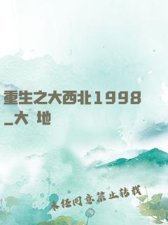 重生之大西北1998