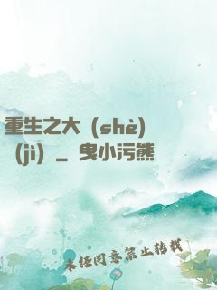重生之大設(shè)計(jì)師
