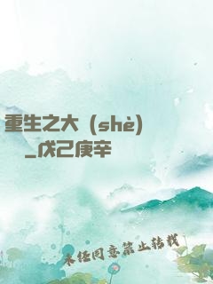 重生之大設(shè)計師