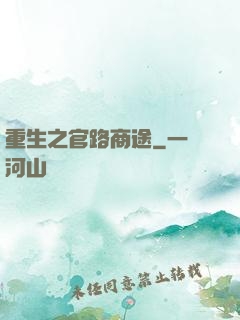 重生之官路商途