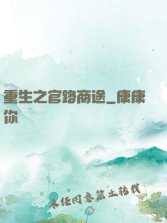 重生之官路商途