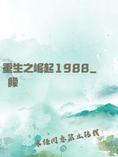 重生之崛起1988