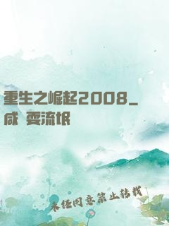 重生之崛起2008