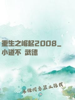 重生之崛起2008