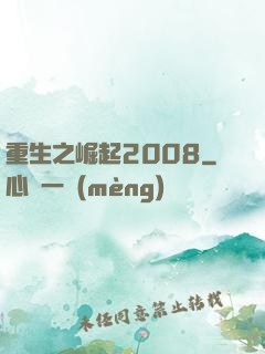 重生之崛起2008