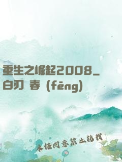 重生之崛起2008