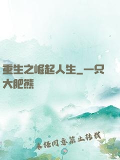 重生之崛起人生
