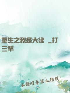 重生之我是大律師