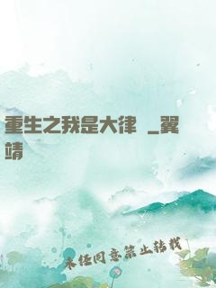 重生之我是大律師