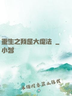 重生之我是大魔法師