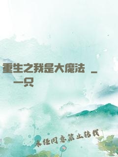 重生之我是大魔法師