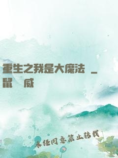 重生之我是大魔法師