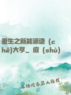 重生之新能源造車(chē)大亨