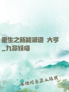 重生之新能源造車大亨