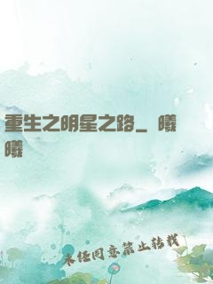 重生之明星之路
