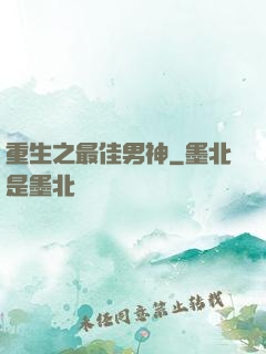 重生之最佳男神