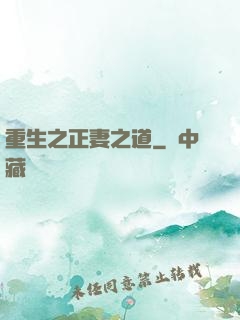 重生之正妻之道