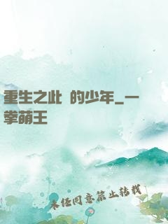 重生之此間的少年