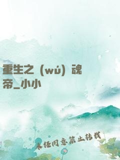 重生之無(wú)雙魂帝