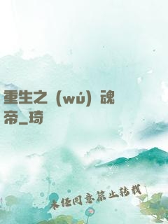 重生之無(wú)雙魂帝