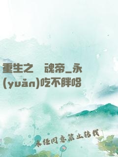 重生之無雙魂帝