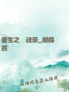 重生之無雙魂帝