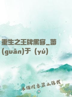 重生之王牌黑客