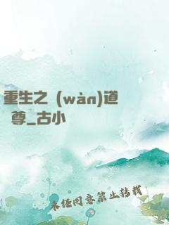 重生之萬(wàn)道劍尊