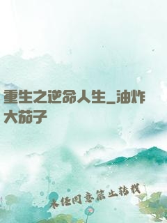 重生之逆命人生