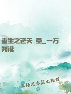 重生之逆天盜圣