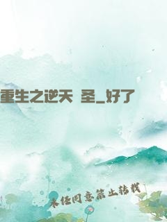 重生之逆天盜圣