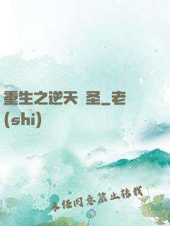 重生之逆天盜圣