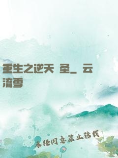 重生之逆天盜圣