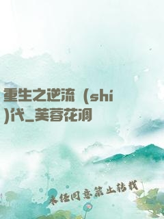 重生之逆流時(shí)代