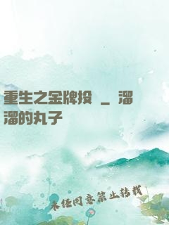 重生之金牌投資